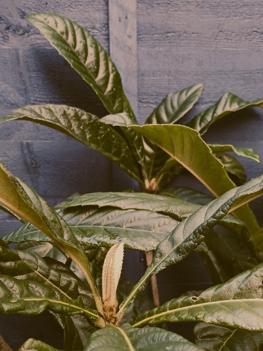 Roads I Didn’t&nbsp;Know