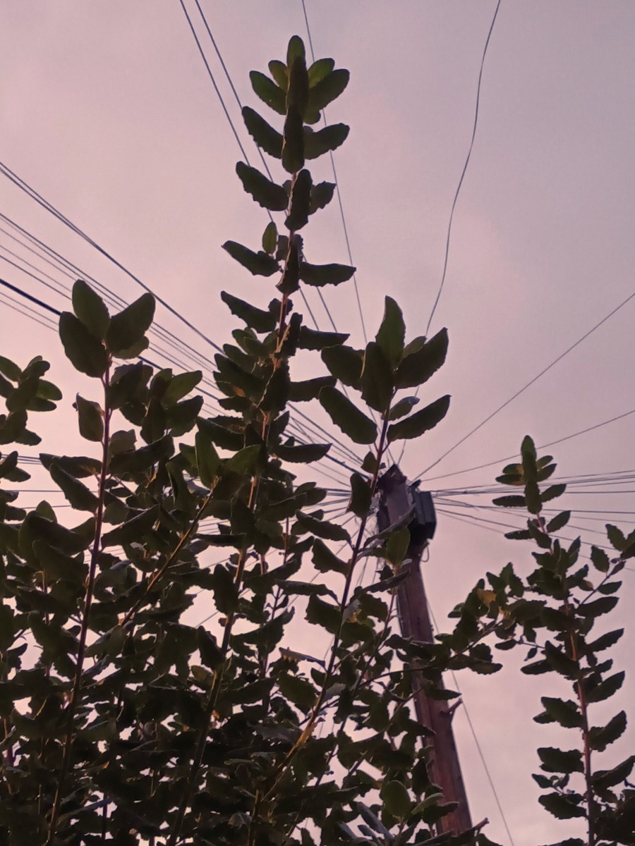 Today, Bright and&nbsp;Crisp