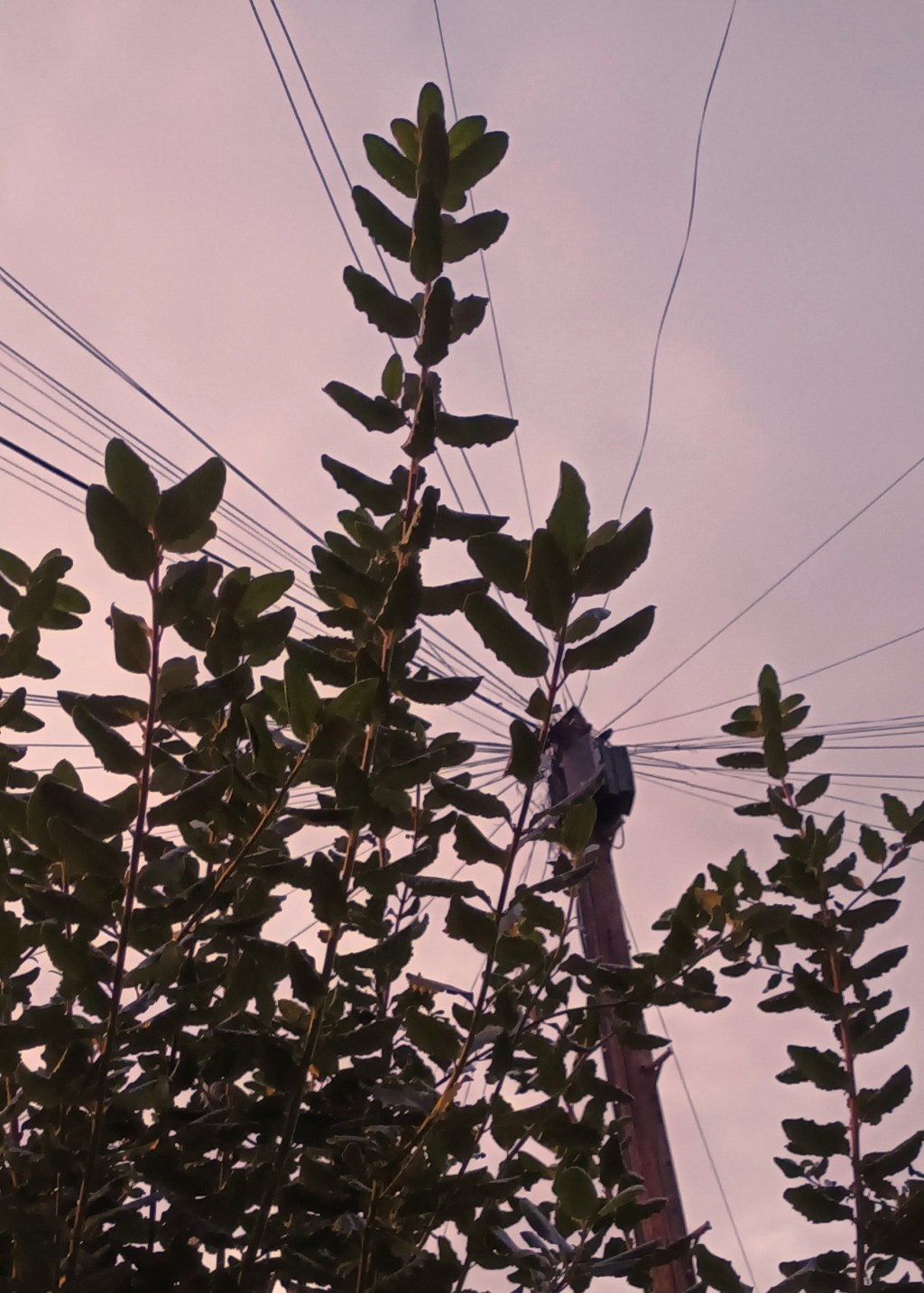 Today, Bright and&nbsp;Crisp