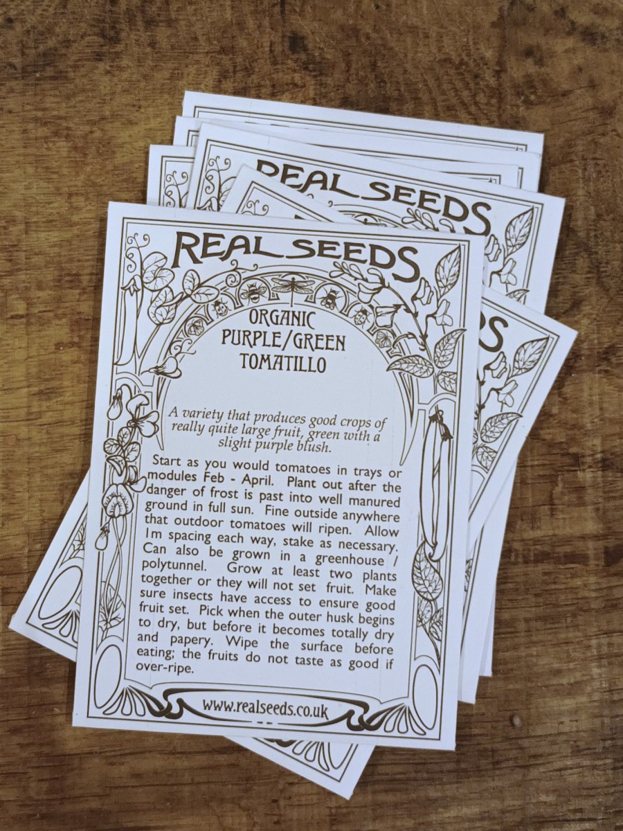 Despite New Year’s&nbsp;Resolutions