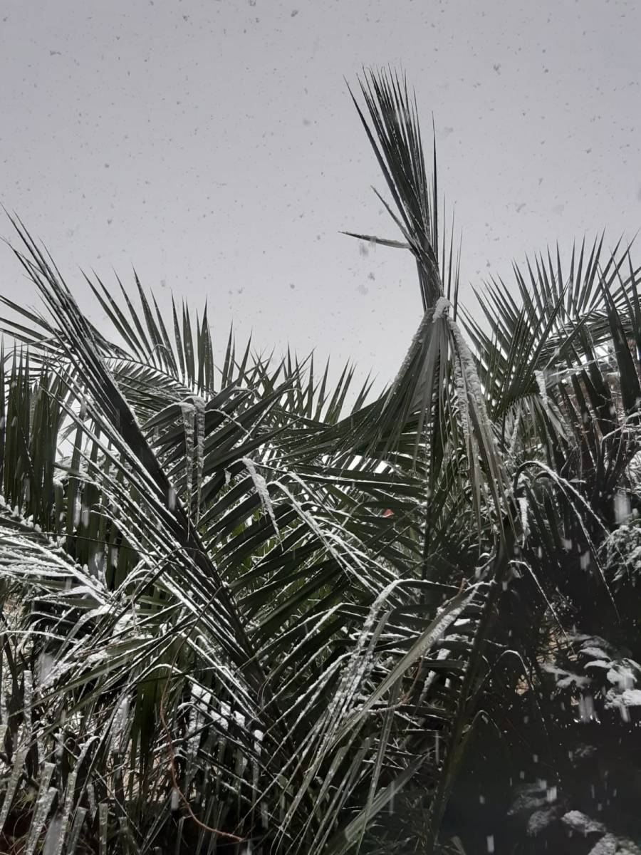 There’s Been Talk of&nbsp;Moving