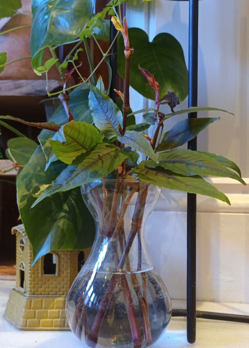 Cuttings in the Kitchen&nbsp;Sink