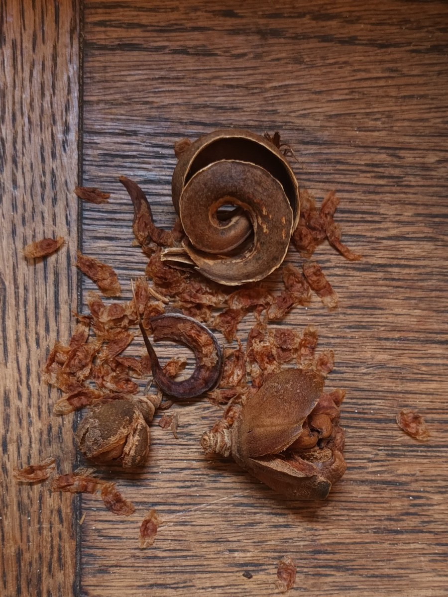 In the Spirit of Almost-Spring-Cleaning