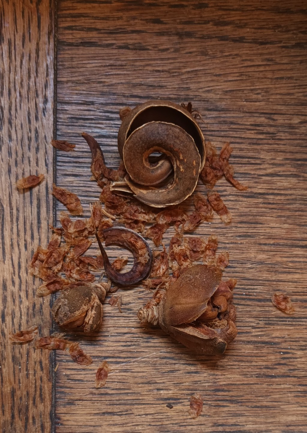 In the Spirit of Almost-Spring-Cleaning