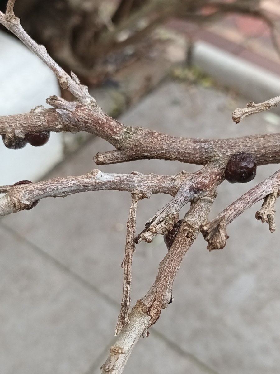 The Strange Satisfaction