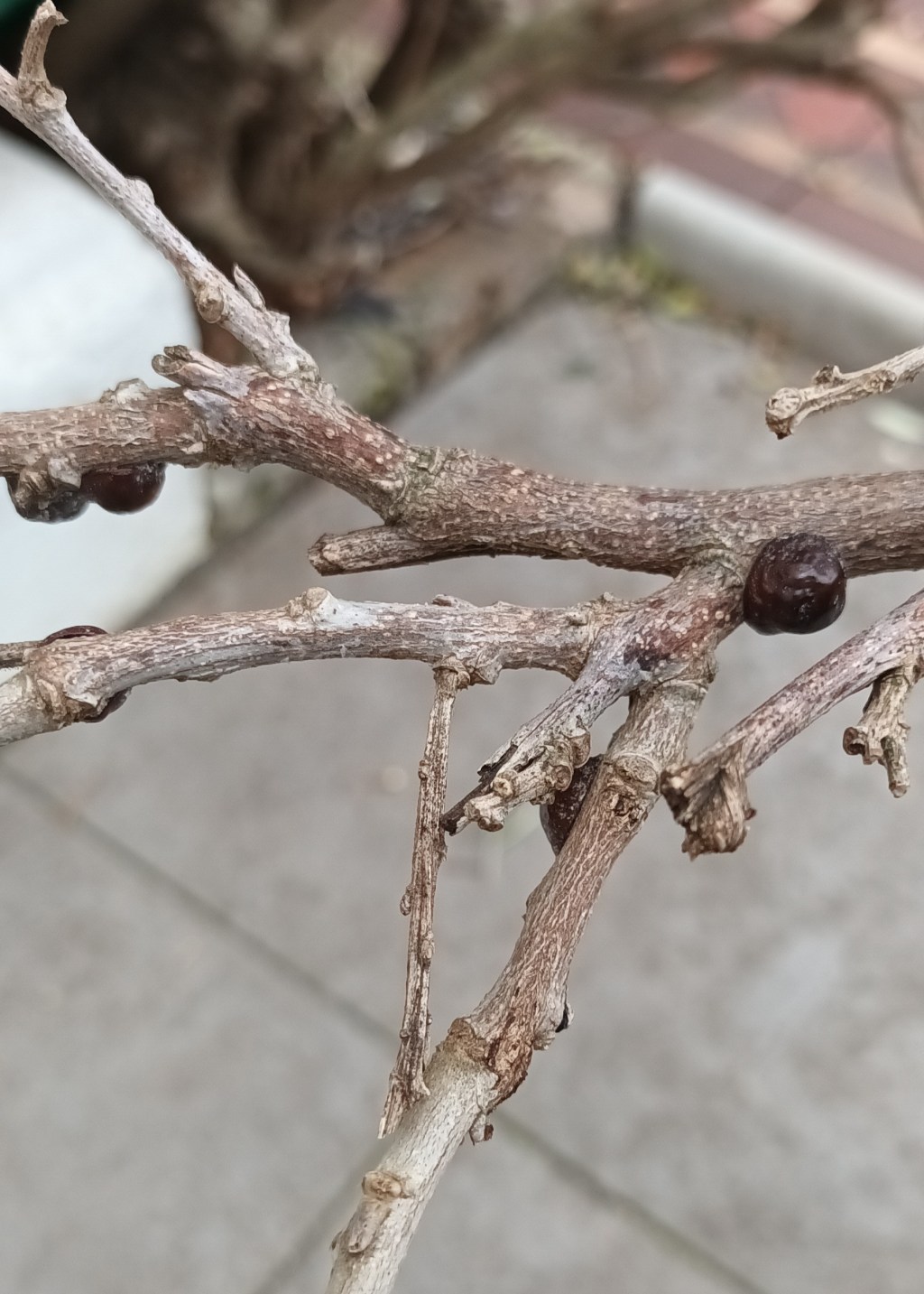 The Strange Satisfaction