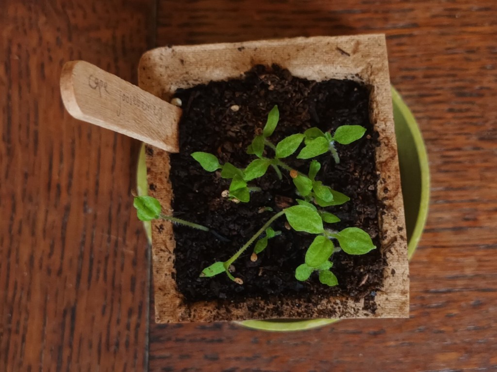 A Grey, Wet&nbsp;Passing