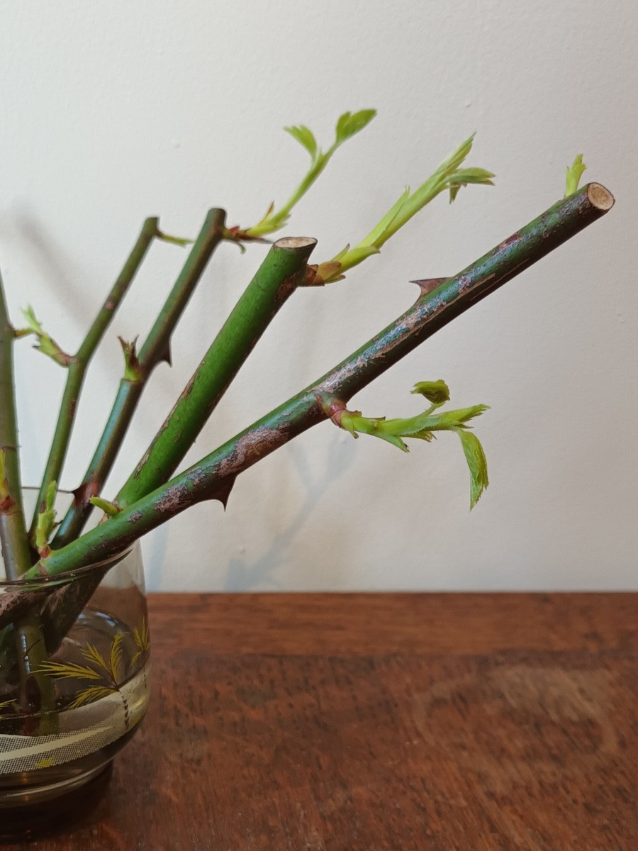 Today There’s Blue&nbsp;Sky