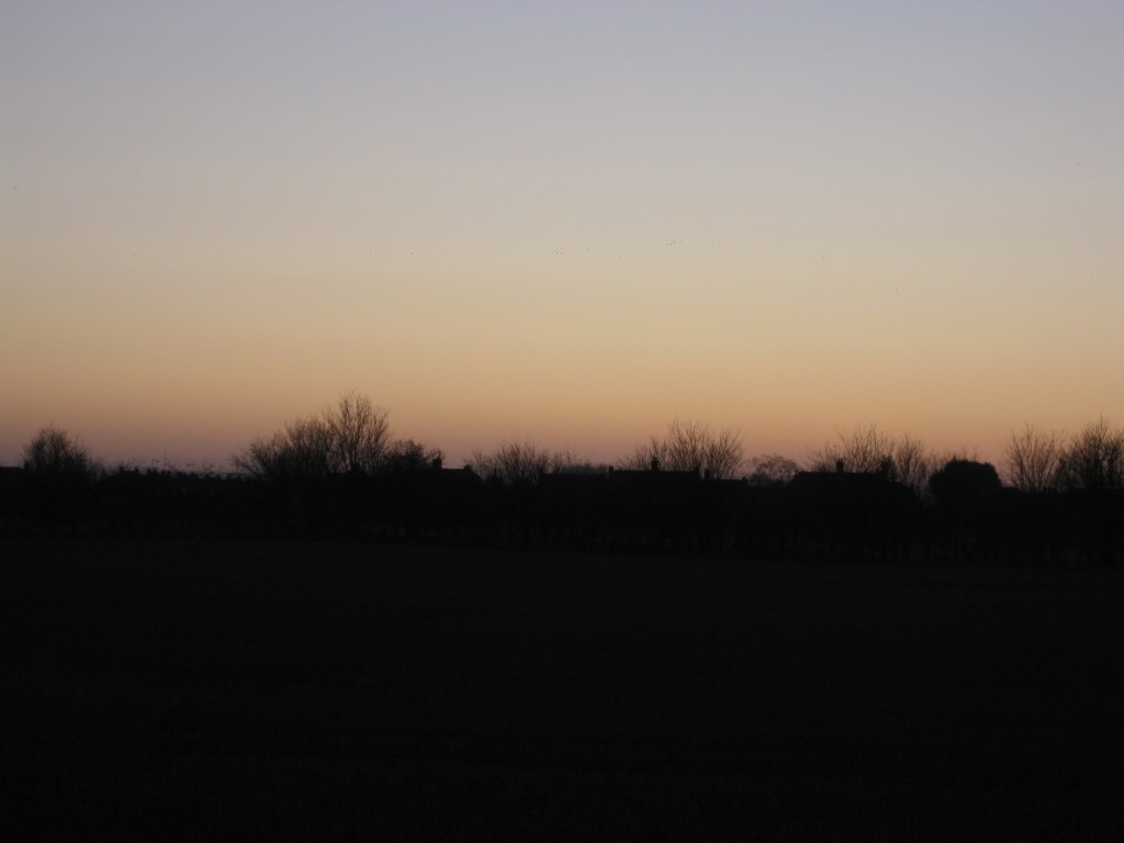 Pots Still Devoid of&nbsp;Green
